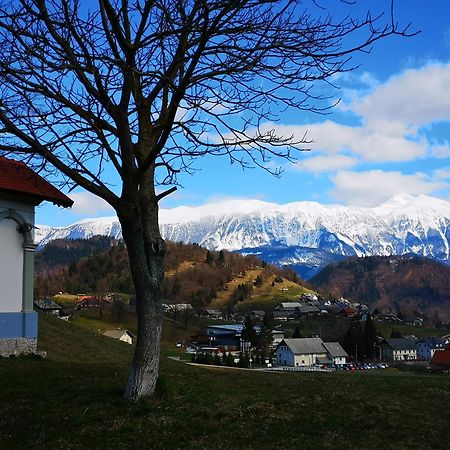 Apartmaji Volf Zgornje Gorje Exterior foto