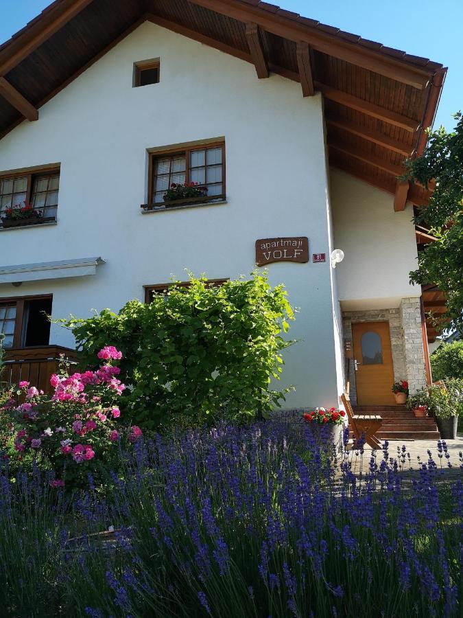 Apartmaji Volf Zgornje Gorje Exterior foto