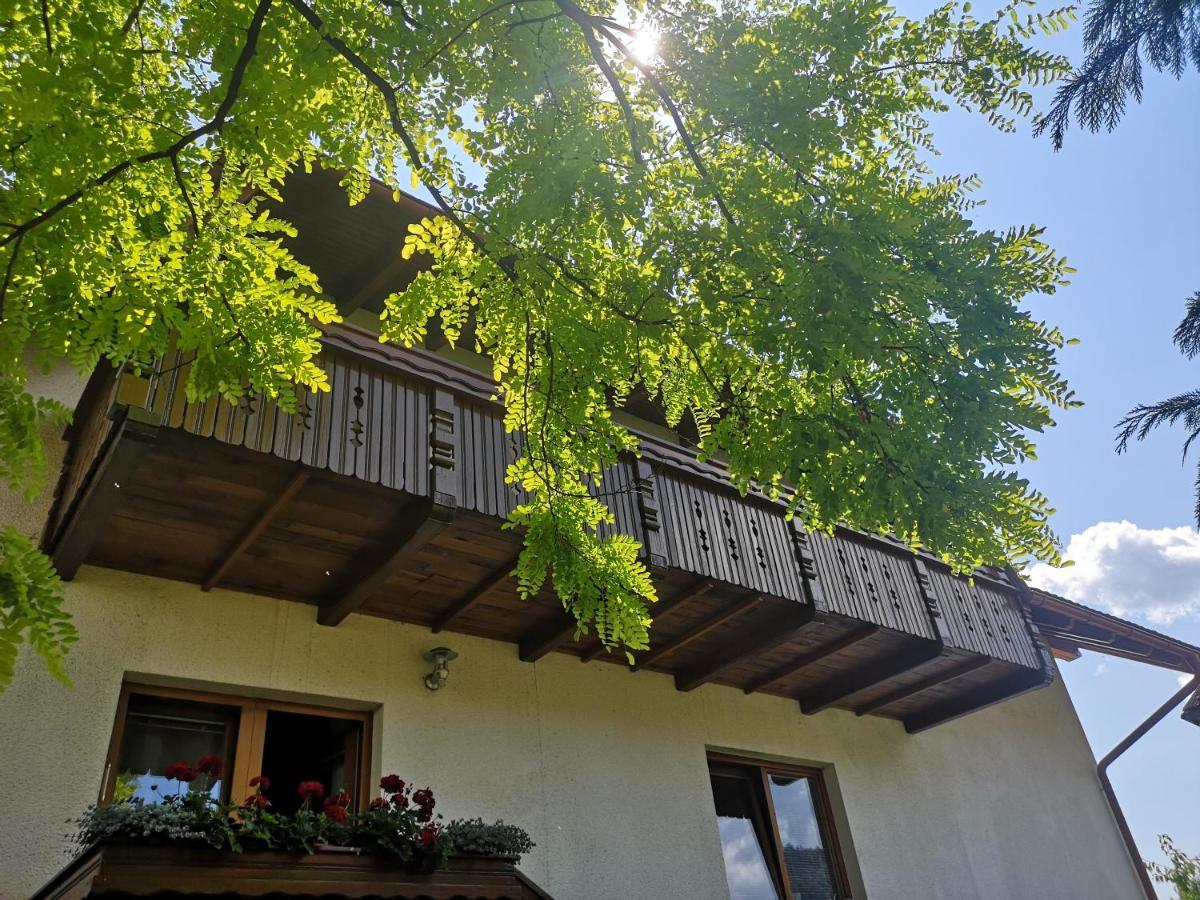Apartmaji Volf Zgornje Gorje Exterior foto