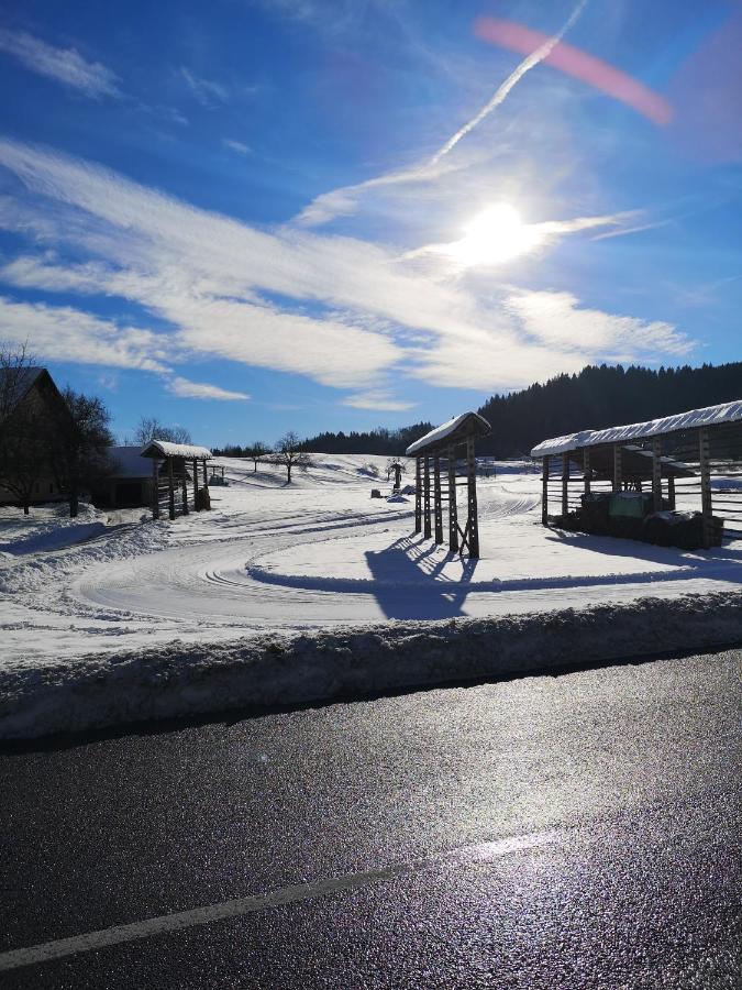 Apartmaji Volf Zgornje Gorje Exterior foto