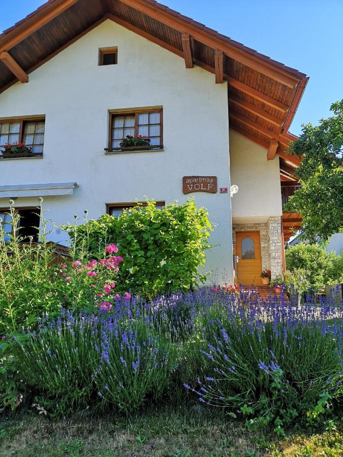 Apartmaji Volf Zgornje Gorje Exterior foto
