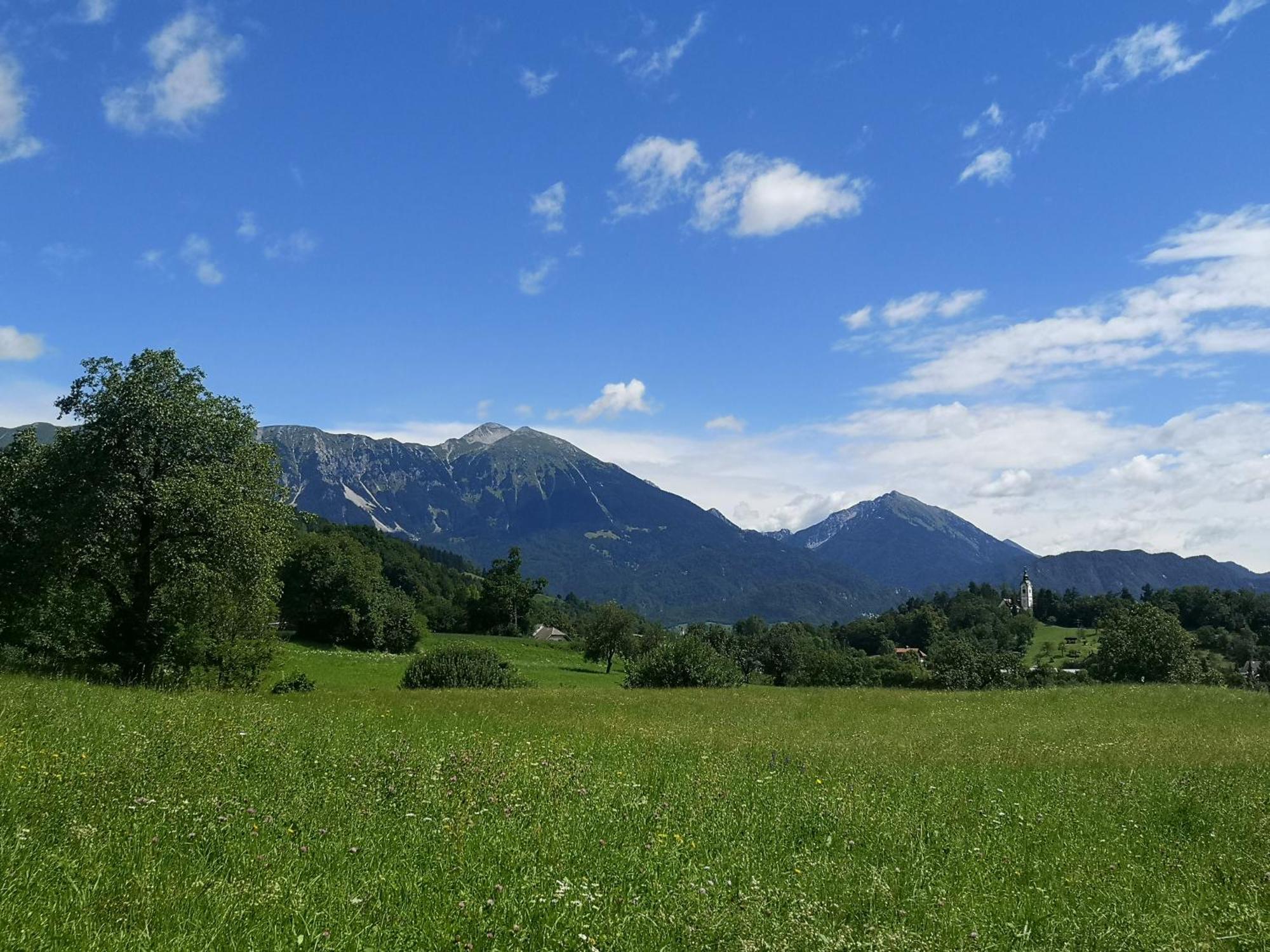 Apartmaji Volf Zgornje Gorje Exterior foto