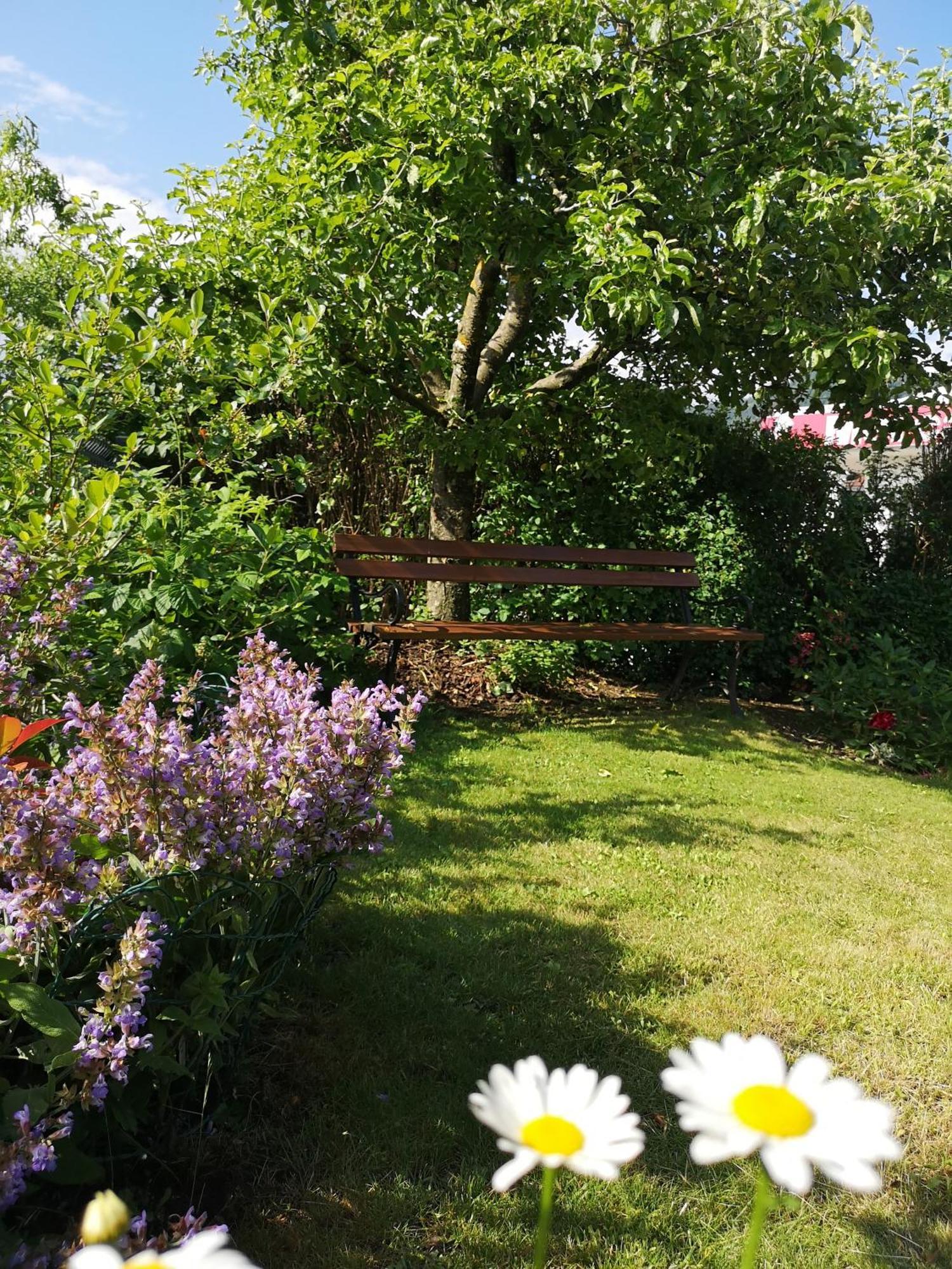 Apartmaji Volf Zgornje Gorje Zimmer foto
