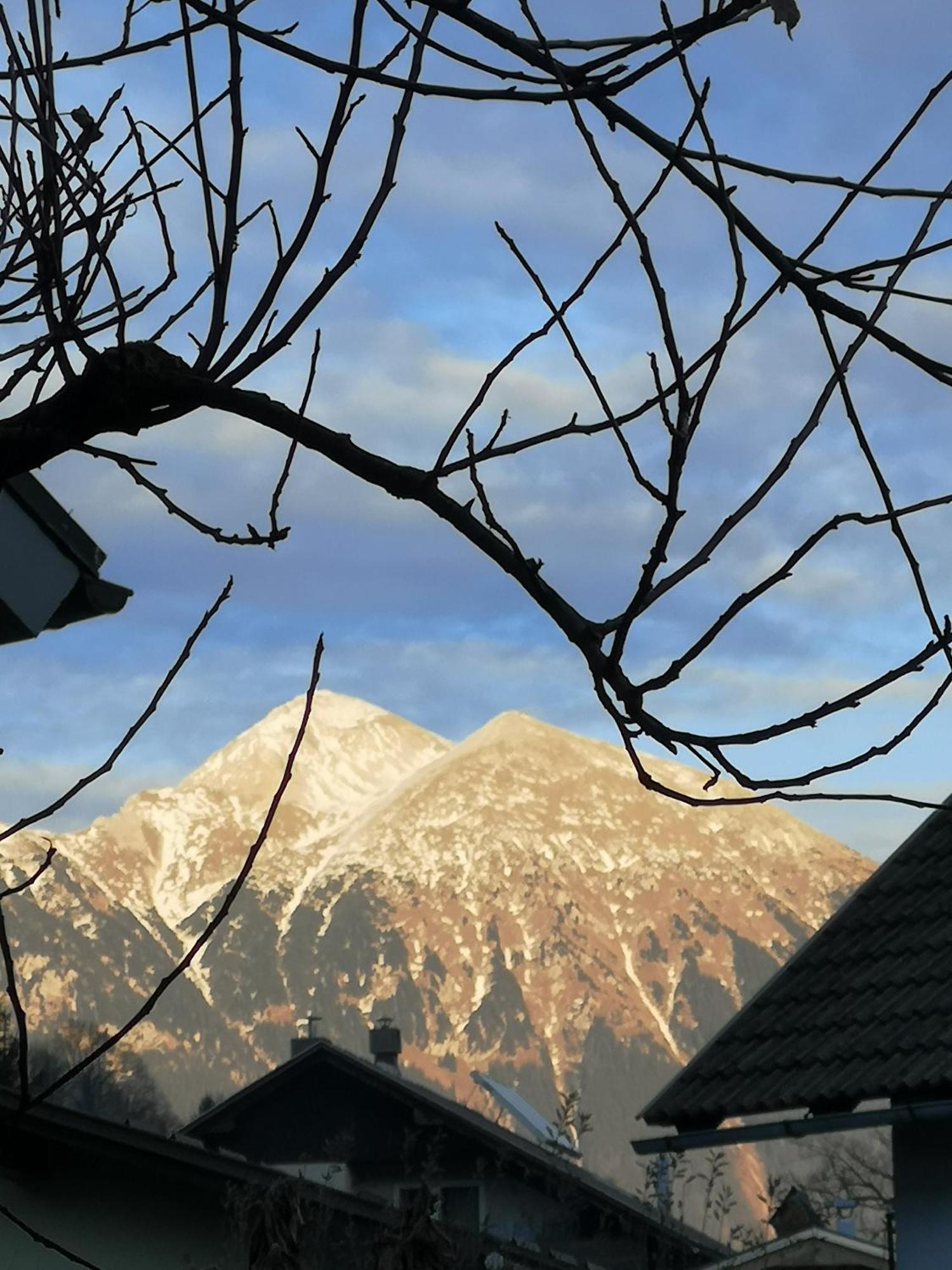 Apartmaji Volf Zgornje Gorje Exterior foto